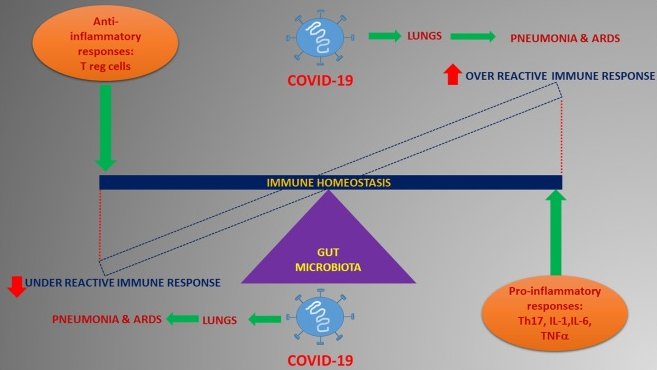 microbiota covid