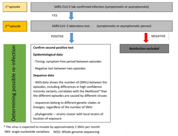 reinfezione sars cov 2
