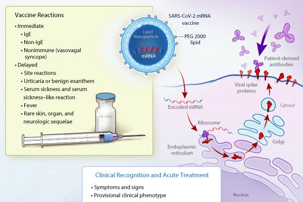 NEJMra2035343 600x400