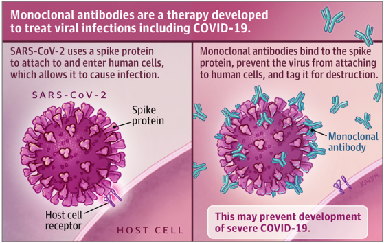 anticorpi monoclonali jama